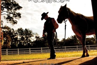 Cowboy Like Me (2014) - Cody Johnson
